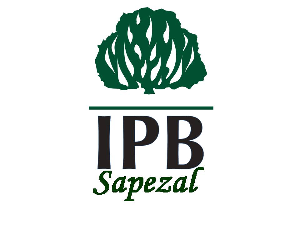 Primeira Igreja Presbiteriana de Sapezal